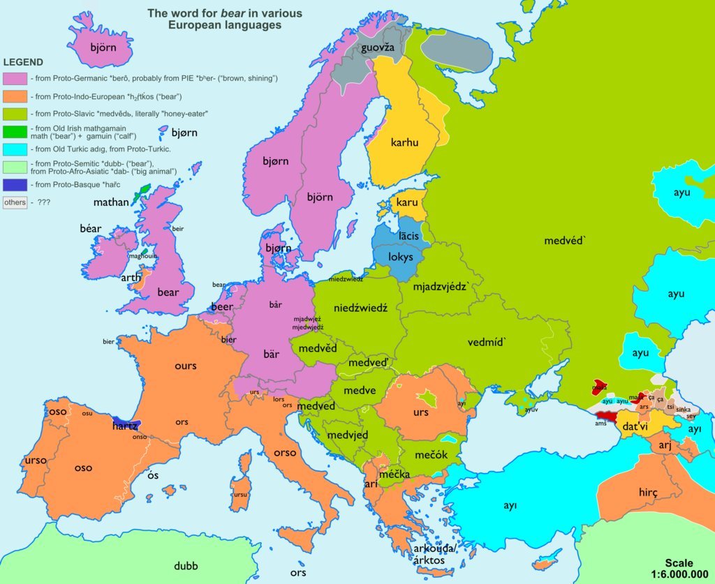 The word Bear in other lanuages of Europe