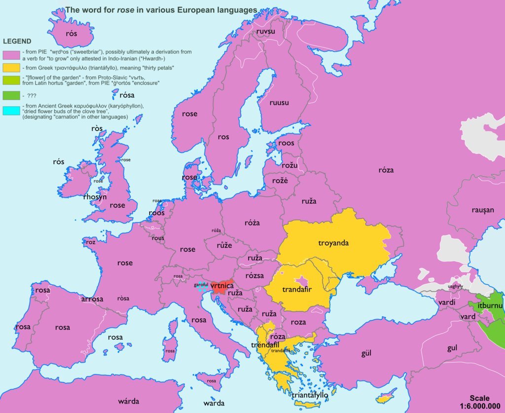 The word Rose in other lanuages of Europe