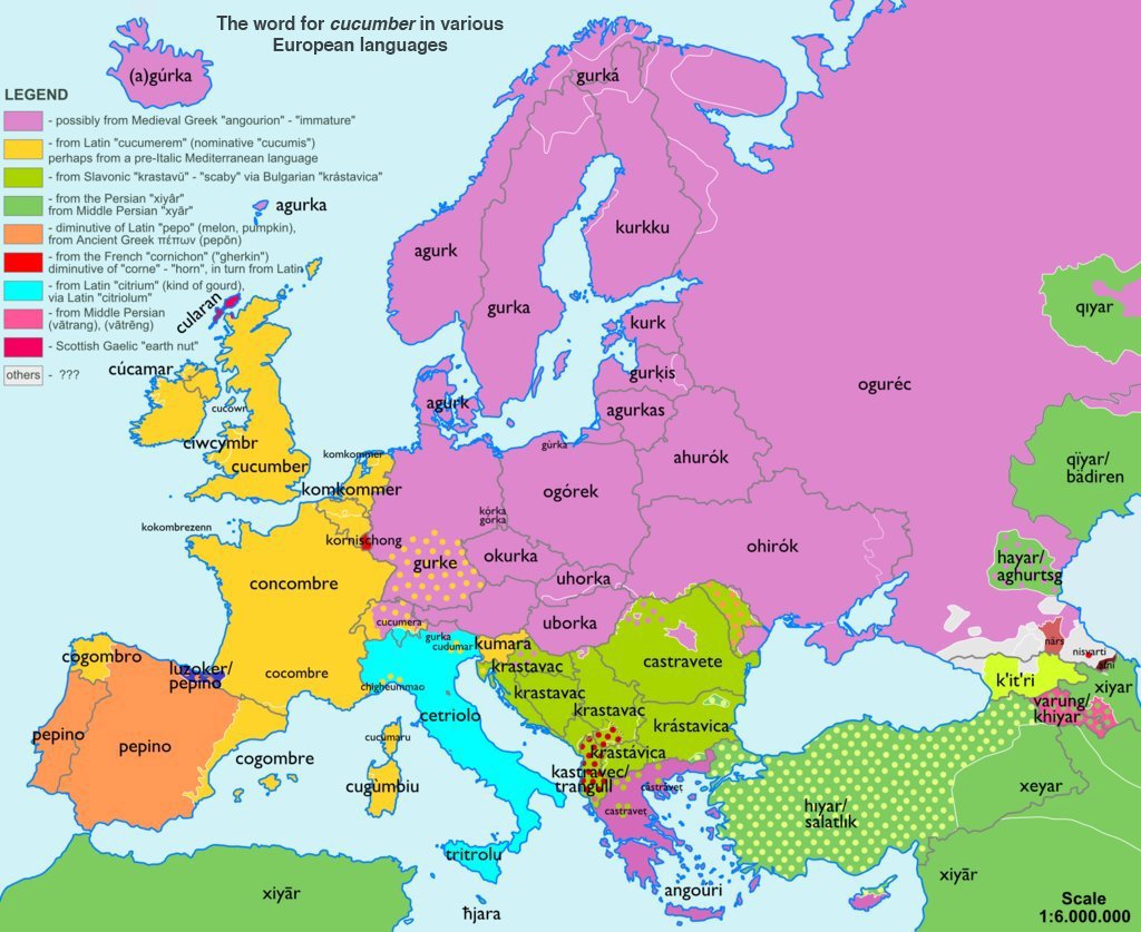 The word Cucumber in other lanuages of Europe